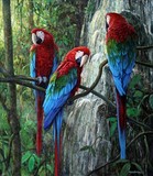 by Gabriel Hermida