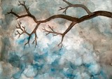 by Dana O'Pray
