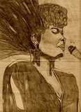 by PattyAnn Alexander