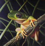by Dallas Nyberg