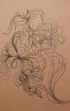 by Anna  Girgis