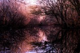 by Brandi Jo Petronio