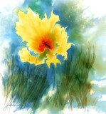 by Joan A Hamilton