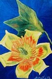 by Rachel McReynolds