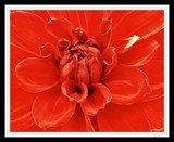by upagupt mohanty