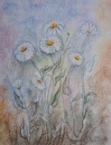 by Patricia Elgee