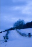 by JAN OLE SÆLØEN