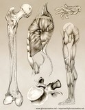 by Gareth Evans