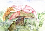 by Melissa Franklin