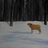by Rhonda Clapprood