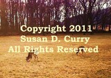 by Susan Curry