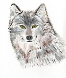 by Cathy Turner