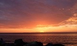 by Ranefox 