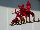 by artists 4u