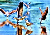by Angela Howell