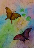 by Pam Sheldon