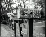 by Mike Lesnick