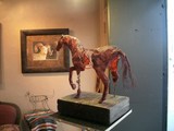 by Tammy J Johnson