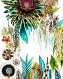 by Elizabeth Mix