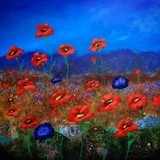 by Tammy Sheppard