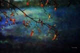 by Randi Grace Nilsberg