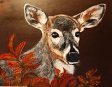 by Jo Ann Fahlman