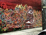 by Shanice FIGEROUX