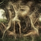 by Vladimir Desancic