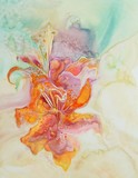 by Edie Schneider