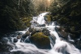 by TJ Parliament