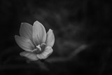 by Nishad KP