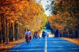 by cua tui cuoi tuan