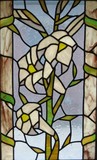 by Susan Marie Pieri