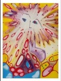 by Maureen Venville