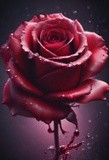 by Mihaela B