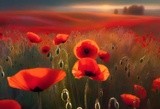 by Mihaela B