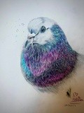 by Ariella Belau