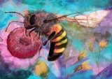 by Alina Contis