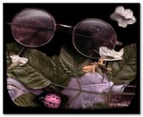 by Pepita Selles