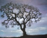 by Linzi Sayles 