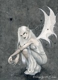 by Rebecca Sinz