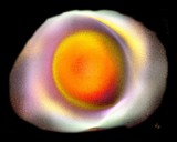 by Kay L. Schlagel