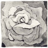 by Renae Perry