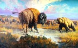 by J.H. (Jerry) Johnson