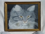 by Sandra van der Veen