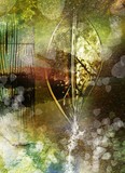 by June Steward