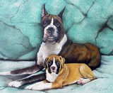 by Kimberly Hunt