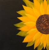 by Ros Callander