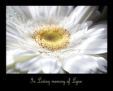 by DEE JOBES PHOTOGRAPHY