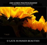 by DEE JOBES PHOTOGRAPHY